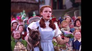 Watch Wizard Of Oz Follow The Yellow Brick Road video