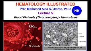 Hematology Lecture 5-2020 Hd