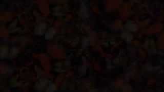 Buchtrailer Der Schmetterlingsmann Von Wolfgang Brunner