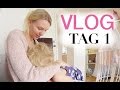 Ab jetzt Daily Vlogs?! | Food Haul | Alltag mit 2 Kindern | I...