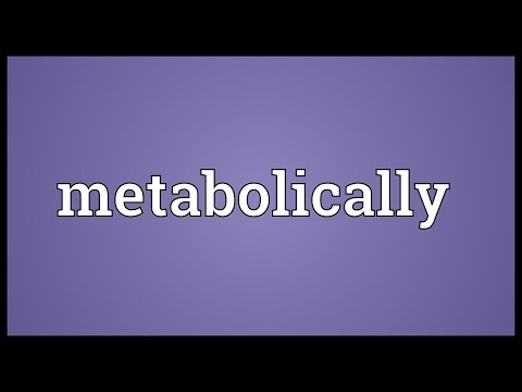 Header of metabolically