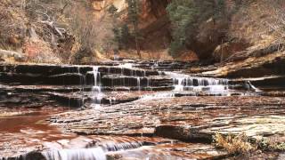 grigory sokolov bach goldberg variations bwv 988