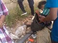 image Tragedi Kecelakaan Memilukan Balimau Kasai 09 07 Di Naumbai Ini Sesi Setelah Tenda Roboh