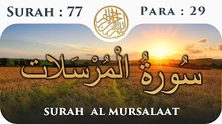 77 Surah Al Mursalat  | Para 29 | Visual Quran With Urdu Translation
