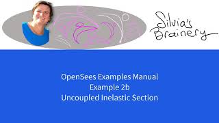 OpenSees/OpenSeesPy Examples Manual 05: Ex2b Uncoupled Inelastic Section