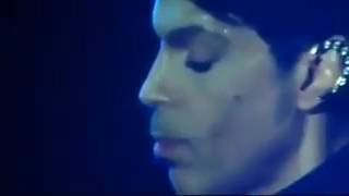Watch Prince Under The Cherry Moon video