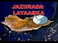 jaziirada layaabka suqatra - socotra - #OGAANSHO