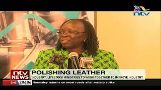 Industry and Livestock ministries to work together to improve leather industry