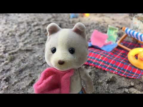 Les Sylvanians en Pologne