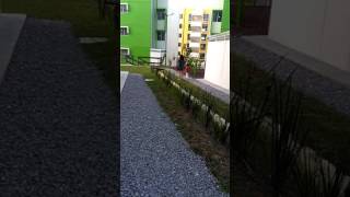 Vigilando A Mi Prima Y A Mi Hermana