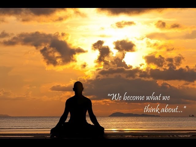 Free Meditation Training: Live Q&A Session