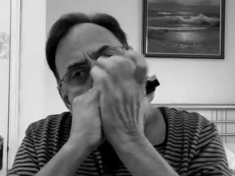 Haal Kaisa Hai Janab Ka - Harmonica