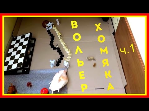 Как сделать лабиринт для хомяков своими руками Как сделать лабиринт для хомяков своими руками