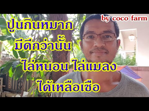 ปูนกินหมาก ไม่ใช่แค่ไว้กินหมาก ไล่หนอน ไล่แมลง ได้เหลือเชื่อ "Mortar water"