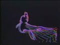 Phantom Power - Neon Skies