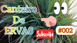 Canteiros de Ervas na Galileia em Israel - Manutenção