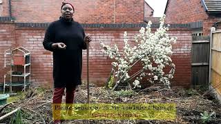 Time To Do Gardening And To Subscribe To My YouTube Channel