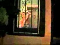 ESTE CHABON FILMO A LA SUEGRA ANTES DE BAÑARSE