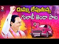 దుమ్ము లేపుతున్న గులాబీ జెండా పాట || Gulabila Jendale Ramakka Full Song || CM KCR || RTV