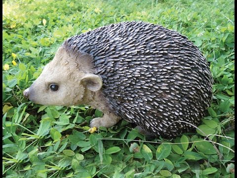 Сантехкабины своими руками Сантехкабины своими руками