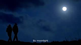 Watch Enya Last Time By Moonlight video