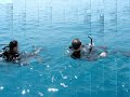 image Pulau Seribu Jakarta Indonesia