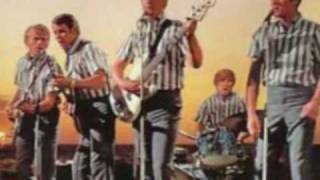 Watch Beach Boys The Beach Boys Medley video