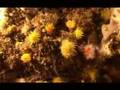 Medes The Mede Empire | RM. Medes The Mede Empire | RM.