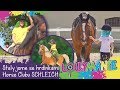 Lollymánie S02E33 - Úžasný den na koních