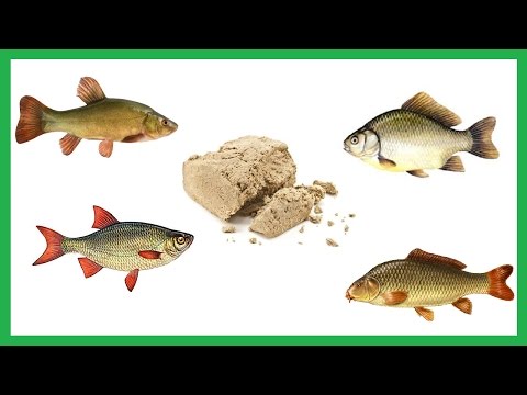 Весенние прикормки на карася Весенние прикормки на карася