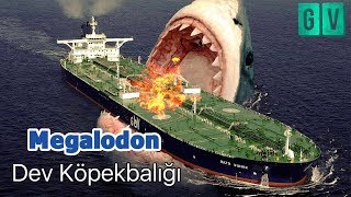 Megalodon Efsanesi̇ Geri̇ Döndü-Dev Köpekbalığı