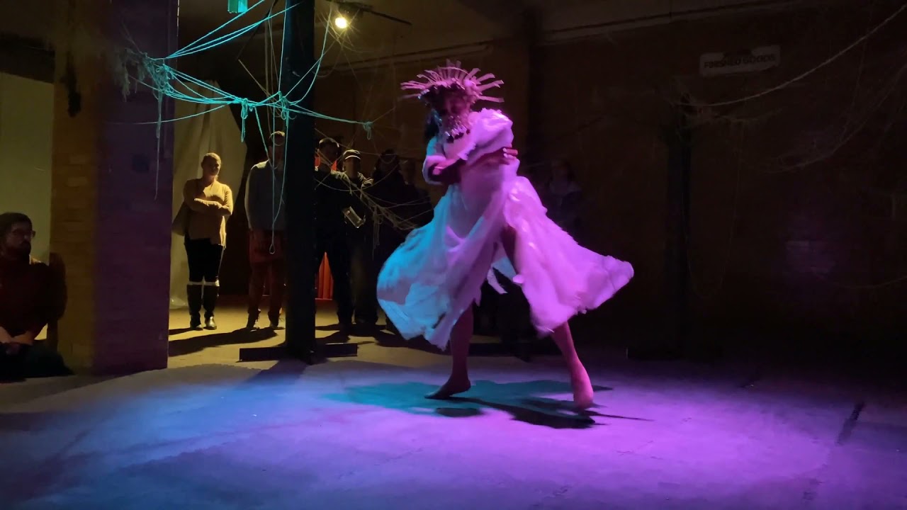 Animations/video