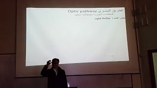 تشريح عصبيه 35 بيان5 المنعكسات البصريه و النخاع الشوكي والسبل الشوكيه الصاعده