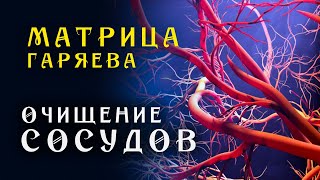 Матрица Гаряева Мощная Очистка Сосудов Всего Тела ☀️ Квантовое Исцеление Звуком