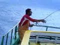 Video de )pesca de corvina / colhendo a rede de corvina(