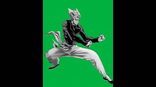 Garou Green Screen