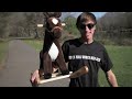 I'm On A Horse - The Song