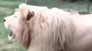Quiero Beber No Han Pagado Video De Risa