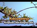 Nekisononoye - Parapanda Choir - Kongowe
