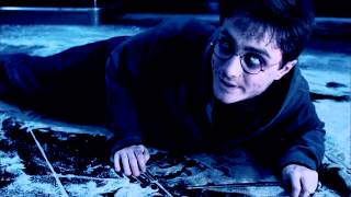 Harry Potter - Bad Wings