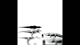 Tyrannosaurus Rex And Deinosuchus Hatcheri Size Comparison