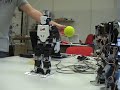 Track Ball with Omnidirectional Vision on a Humanoid Robot - Robovie-X