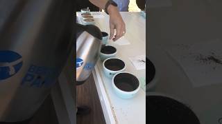 Coffee Tasting Cata De Café - Lamastus Estate, Boquete