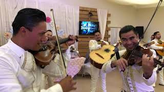 Show Joteando Mariachi Desde Dallas