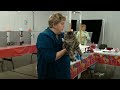 TICA Cat Show Colorado Jan 5-6, 2013 (siberian kitten - Charodey Uslada) - judge Vicky Shields