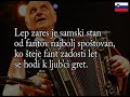 Po Dekle - Ansambel Lojzeta Slaka ~ Ponos Slovenije