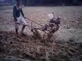 May Cay Ruong Bac Thang Tu Che Tu Dong Co images May Cay Ruong Bac Thang Tu Che Tu Dong Co