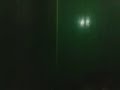 image Jangan Diganggu Lagi Tidur Pules Nih Sssyyuutttzttttttt D