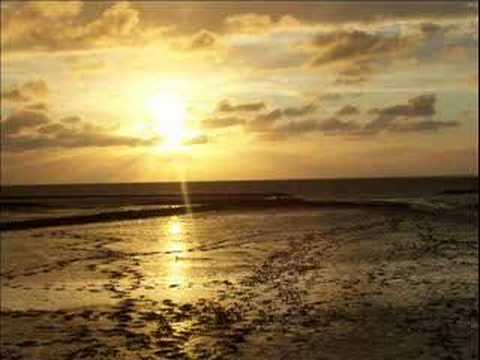 Alter Bridge - In Loving Memory