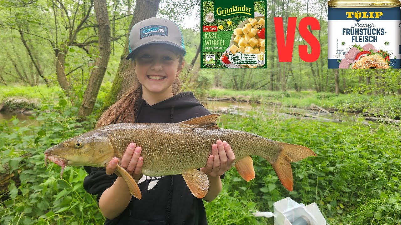 FRÜHSTÜCKSFLEISCH & KÄSE im Test 🎣 Was fangen wir am kleinen BACH?